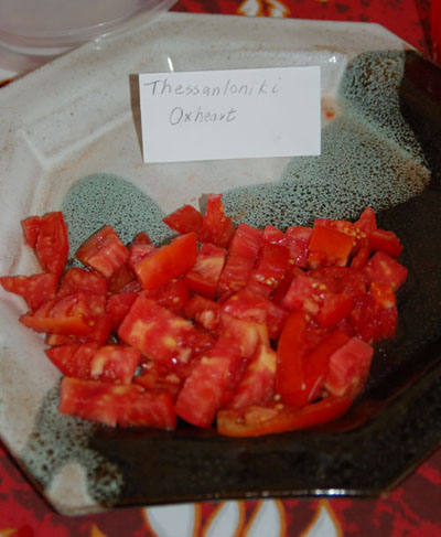 2010 Tomato Tasting 9